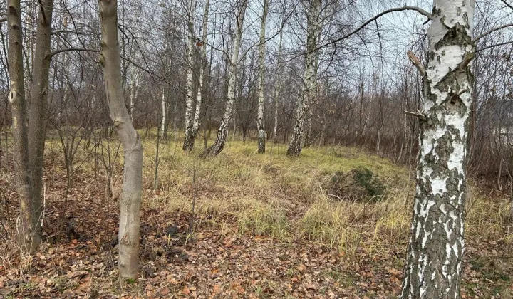 Działka budowlana Granice, ul. Rajska