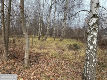 Działka budowlana Granice, ul. Rajska