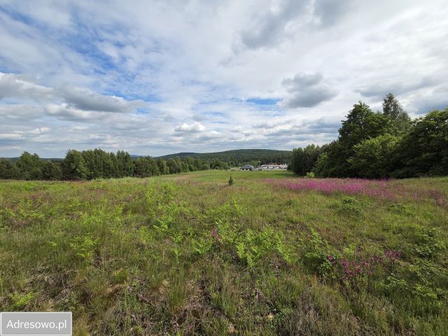 Działka budowlana Występa. Zdjęcie 1