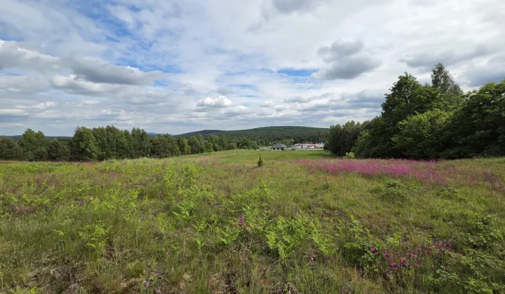 Działka budowlana Występa