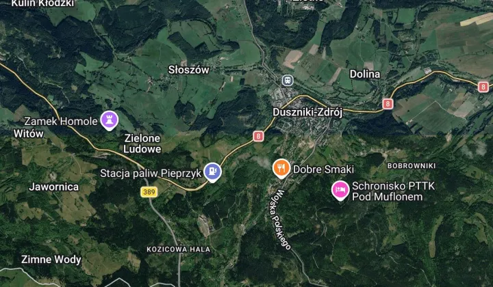 Działka budowlana Duszniki-Zdrój Wapienniki, ul. Sudecka