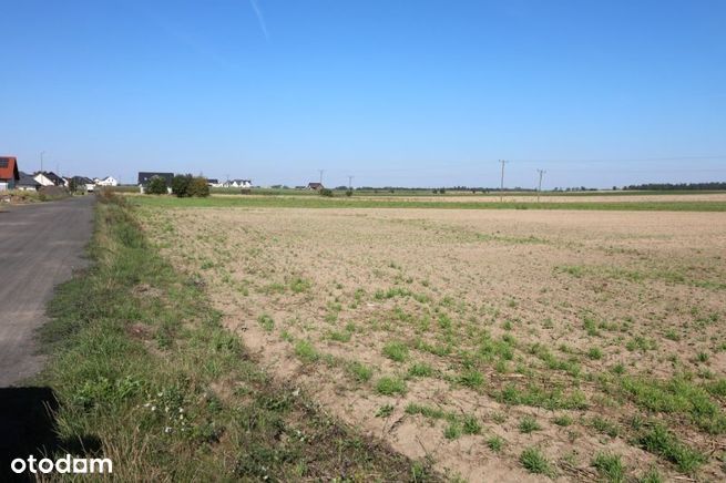 Działka budowlana Strachocin. Zdjęcie 5