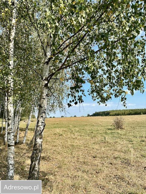 Działka budowlana Rafałówka. Zdjęcie 9