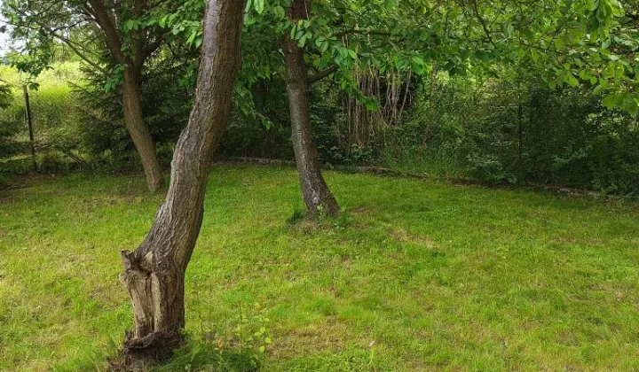 Działka rod Gliwice Sośnica, ul. Panewnicka