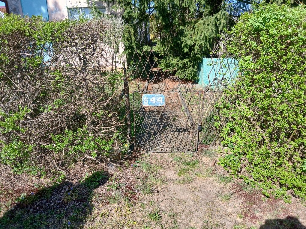 Działka rod Lubin. Zdjęcie 8