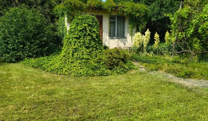 Działka rod Leszno, ul. Łąkowa
