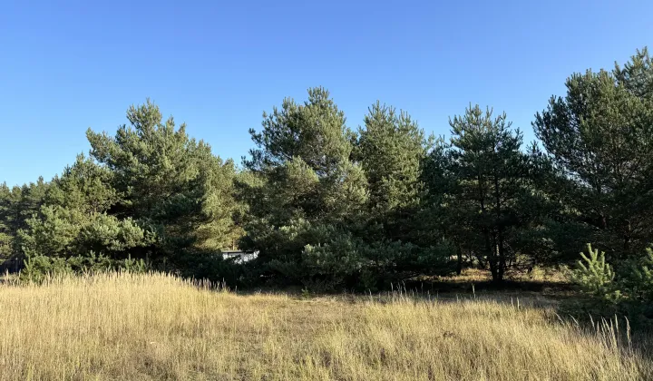 Działka rekreacyjna Wylatkowo