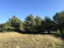 Działka rekreacyjna Wylatkowo, Wylatkowo