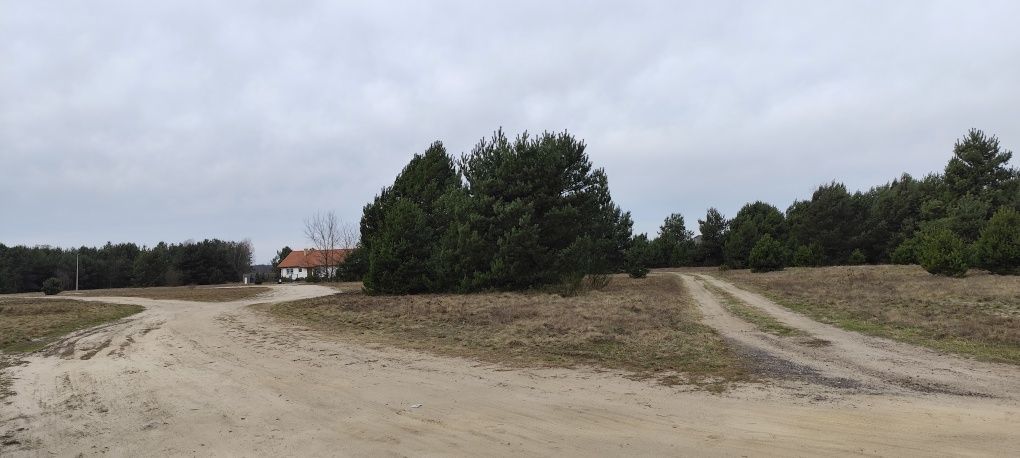 Działka budowlana Zielona Góra, ul. Ochla-Pustynna. Zdjęcie 5