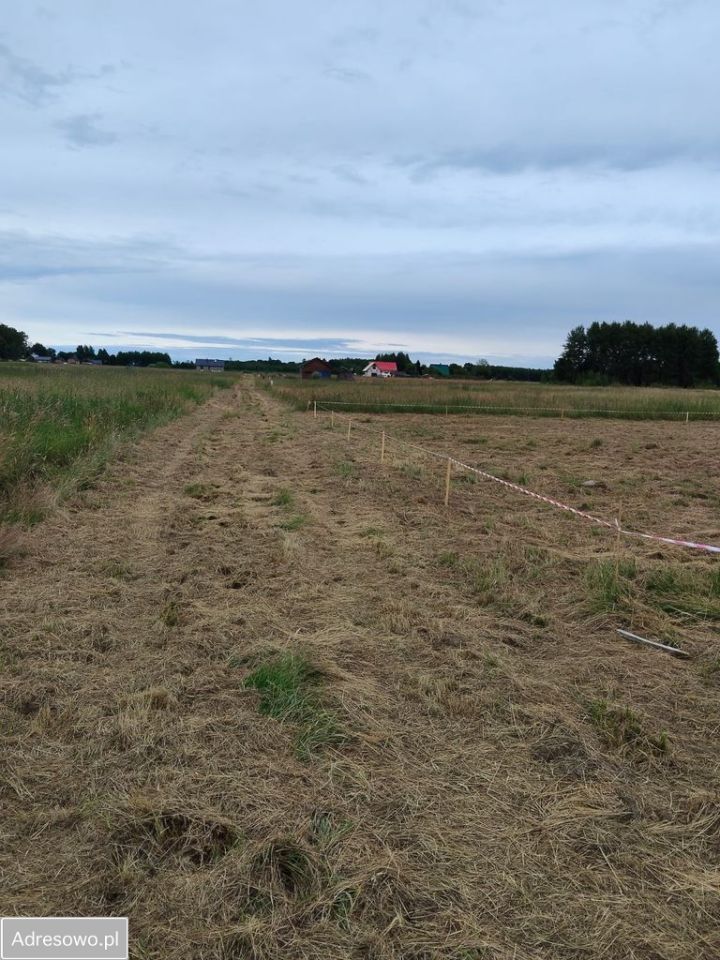 Działka budowlana Kierzkowo. Zdjęcie 3