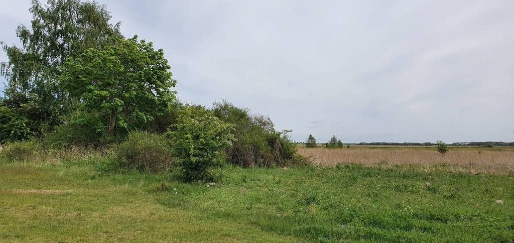 Działka budowlana Mrzeżyno, ul. Kasztanowa. Zdjęcie 4