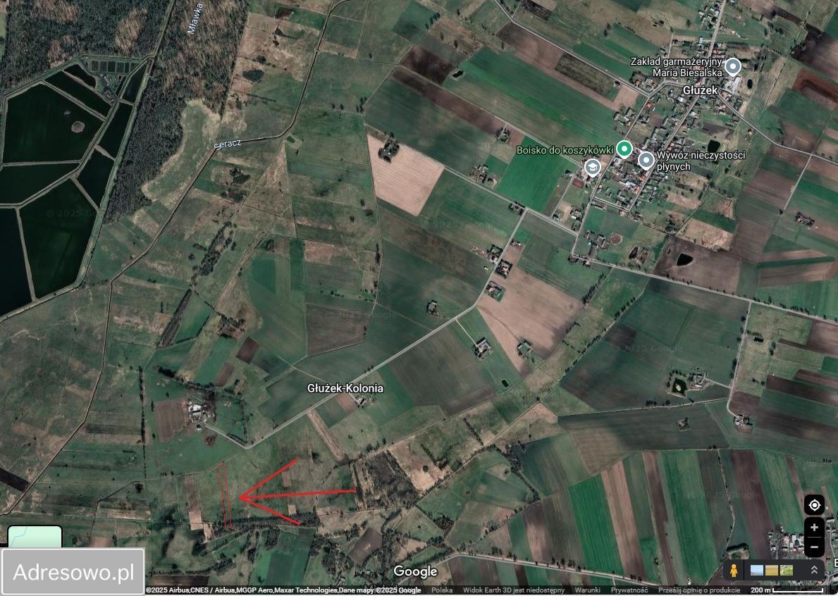 Działka rolna Głużek Głużek-Kolonia. Zdjęcie 3