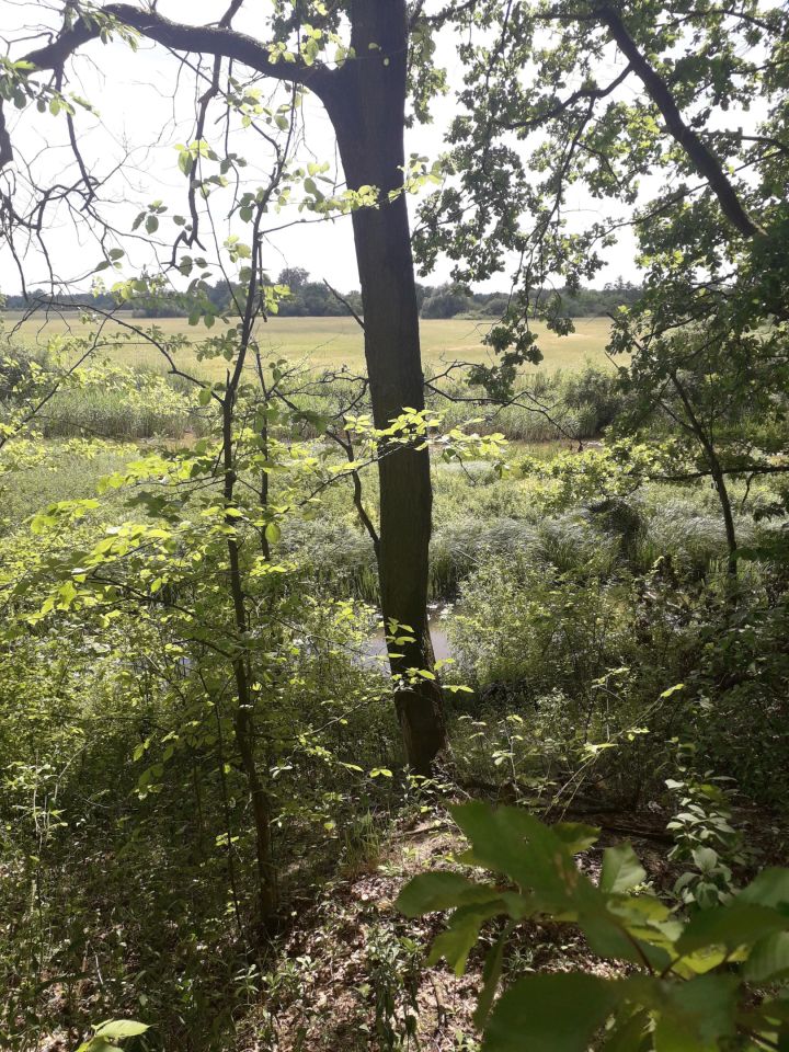 Działka budowlana Mniszew. Zdjęcie 8