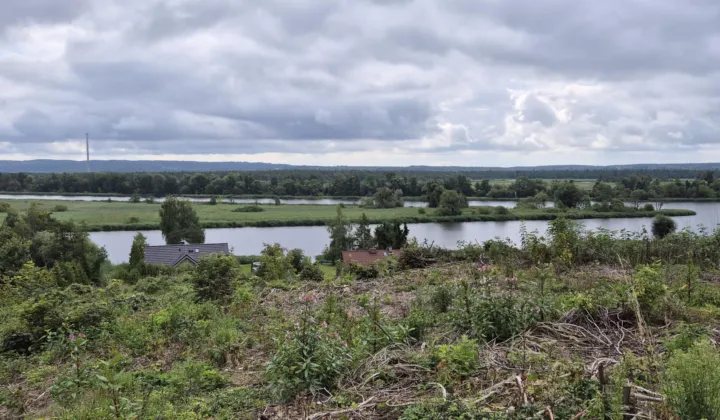 Działka rolna Kurów