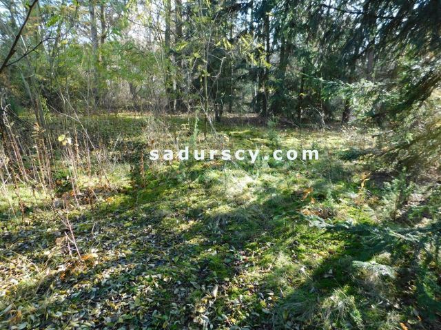 Działka budowlana Biały Ług. Zdjęcie 14