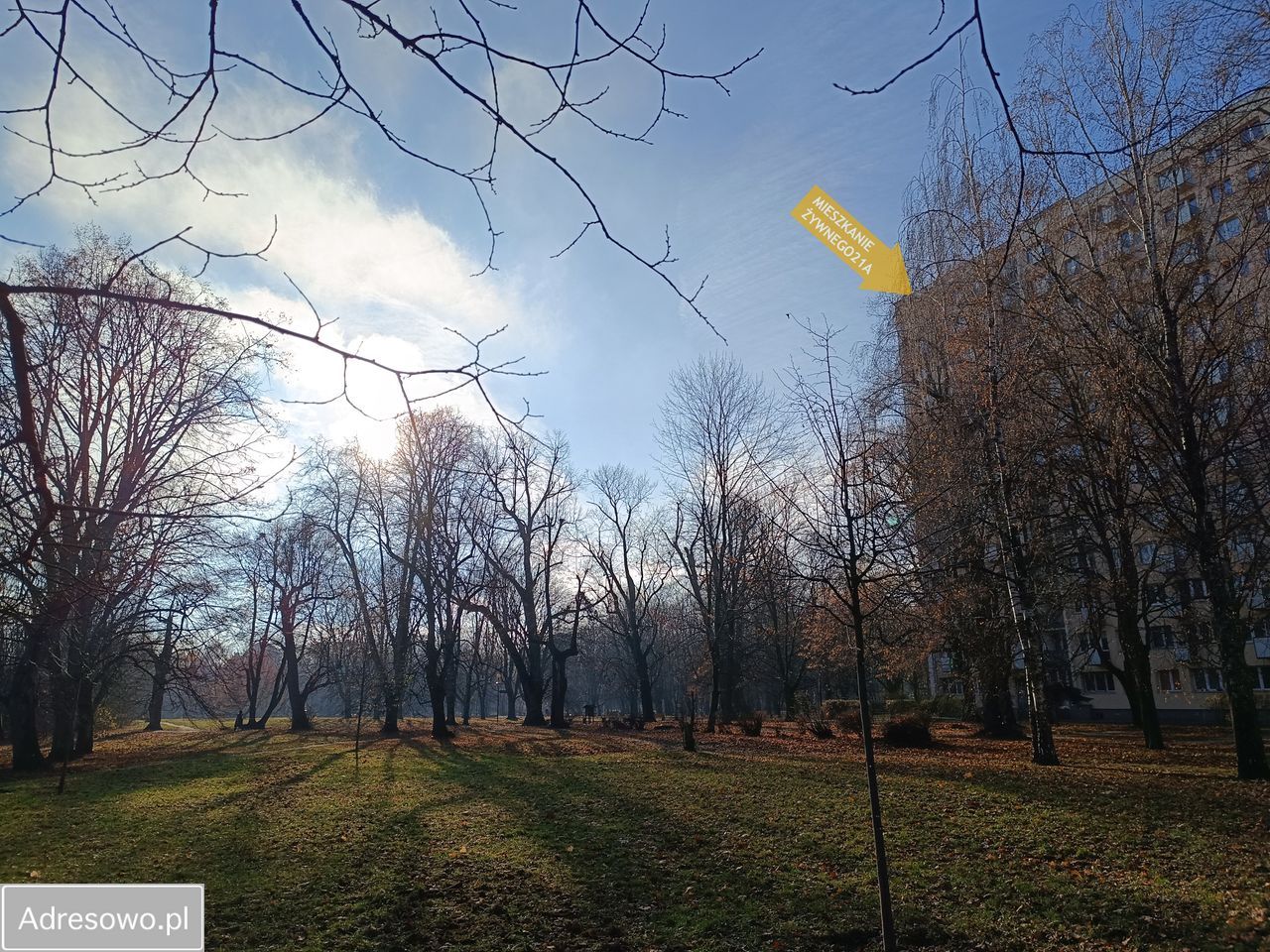 Mieszkanie 2-pokojowe Warszawa Górny Mokotów, ul. Wojciecha Żywnego. Zdjęcie 11