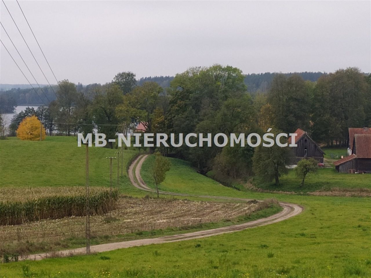 Działka rolna Sorkwity. Zdjęcie 3