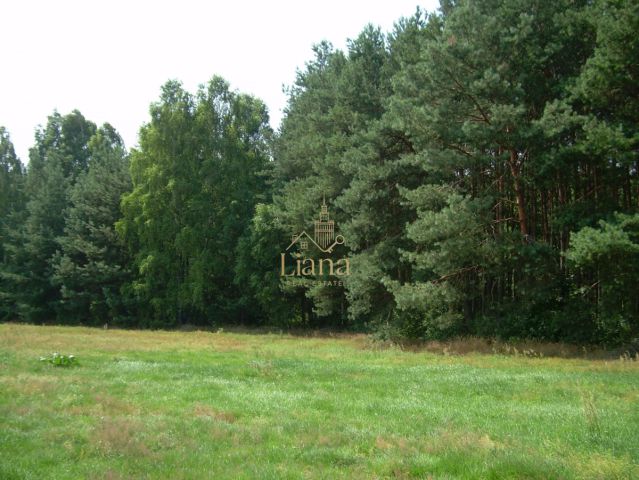 Działka budowlana Kobyla. Zdjęcie 4