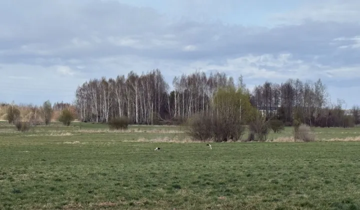 Działka budowlana Kownaciska