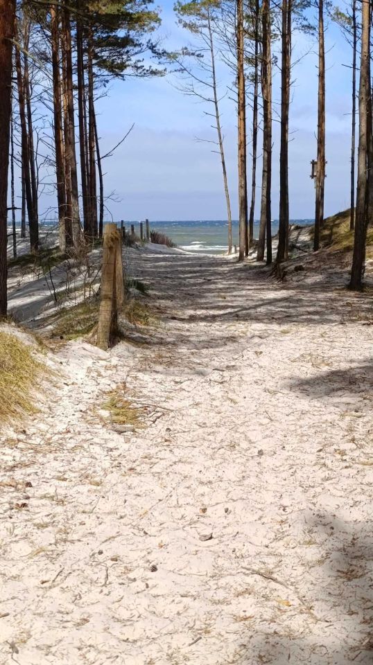 Działka rolna Karwieńskie Błoto Drugie, ul. Wczasowa. Zdjęcie 4