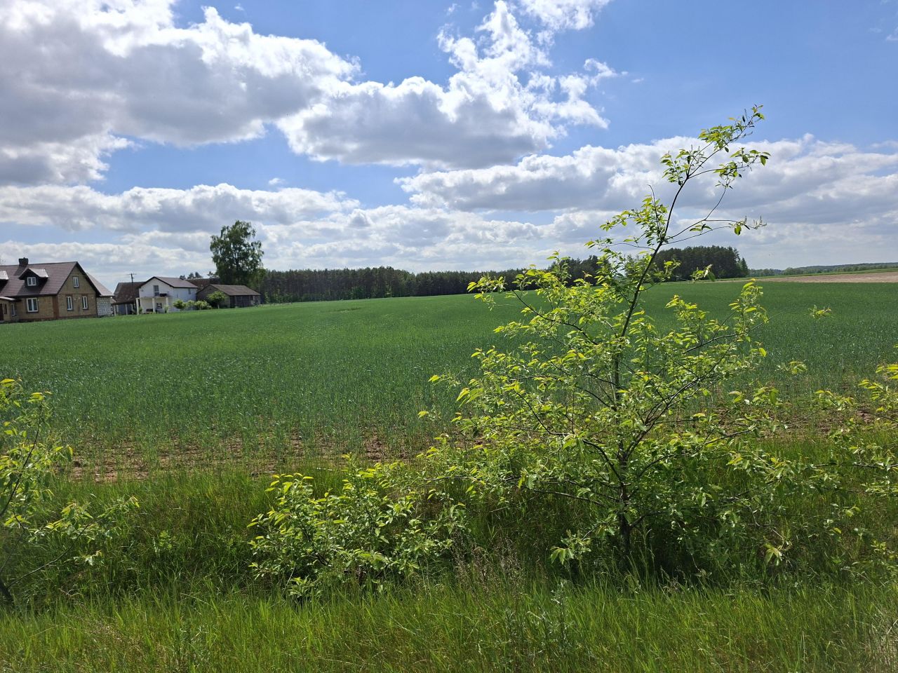 Działka rolno-budowlana Białaszewo-Kolonia, Białaszewo kolonia. Zdjęcie 3