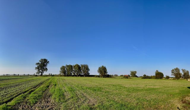 Działka rolna Skowarcz, ul. Łąkowa. Zdjęcie 1