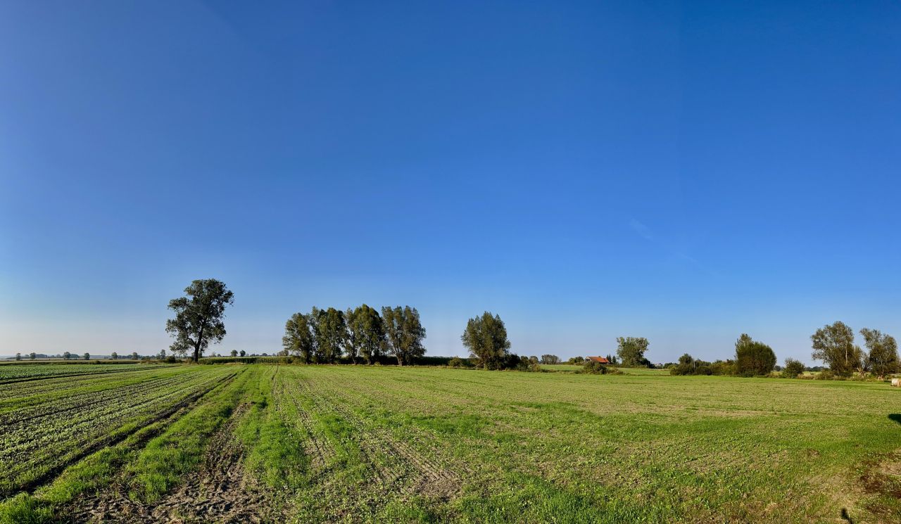 Działka rolna Skowarcz, ul. Łąkowa. Zdjęcie 1