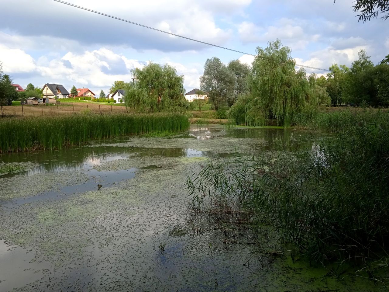 Działka rekreacyjna Pierzchów. Zdjęcie 6