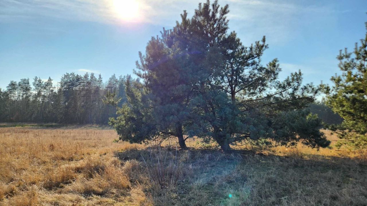 Działka budowlana Szadki. Zdjęcie 1