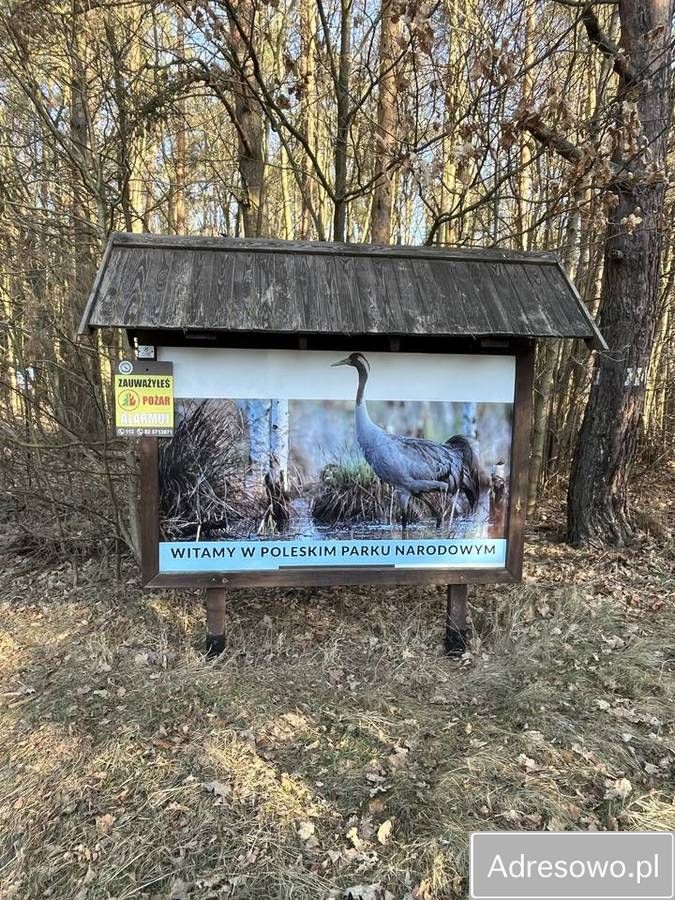 Działka siedliskowa Wytyczno. Zdjęcie 9