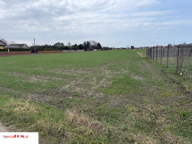 Działka rolna Żaby. Zdjęcie 3