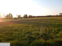 Działka rolno-budowlana Rąpin. Zdjęcie 4