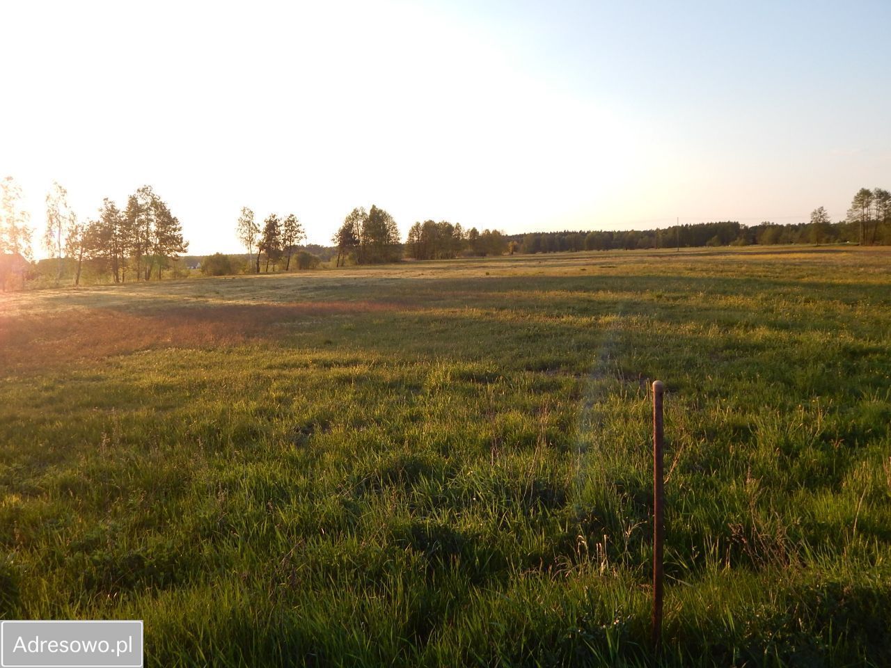 Działka rolno-budowlana Rąpin. Zdjęcie 5