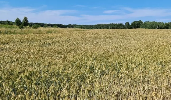 Działka rolna Stojkowo