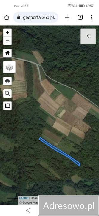 Działka leśna Stasiówka. Zdjęcie 5