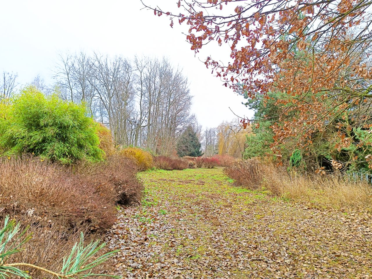 dom wolnostojący, 6 pokoi Nowe Gnatowice. Zdjęcie 42
