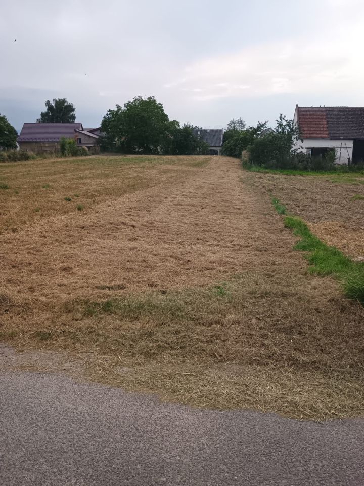 dom wolnostojący, 5 pokoi Buków. Zdjęcie 4