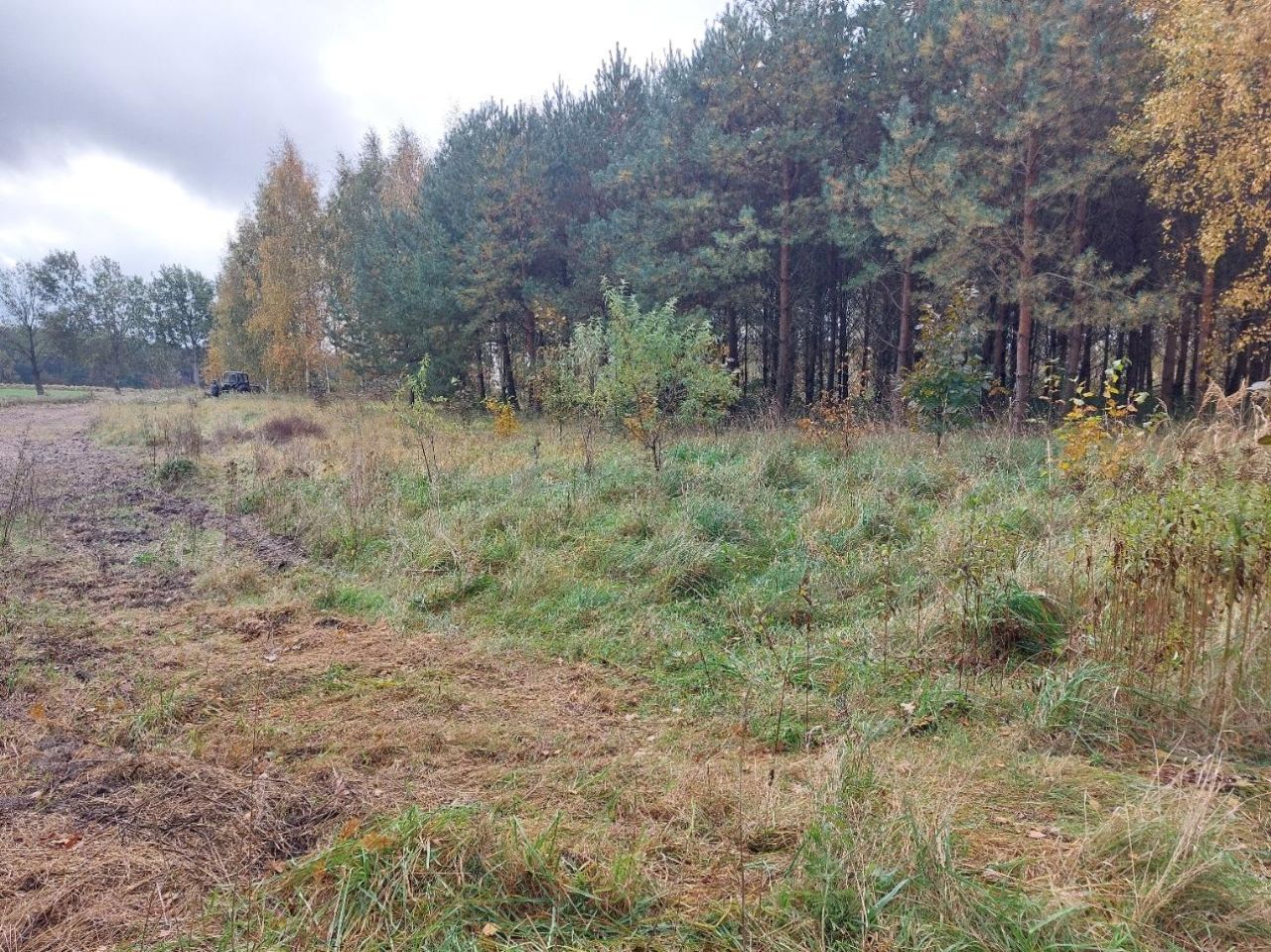 Działka rolno-budowlana Klecewko. Zdjęcie 9