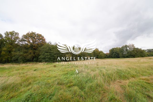 bliźniak, 5 pokoi Grzepnica. Zdjęcie 11