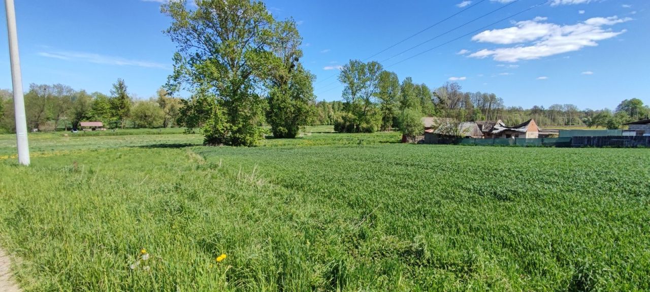 Działka budowlana Płonki. Zdjęcie 1