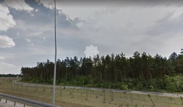 Działka leśna Kuczek