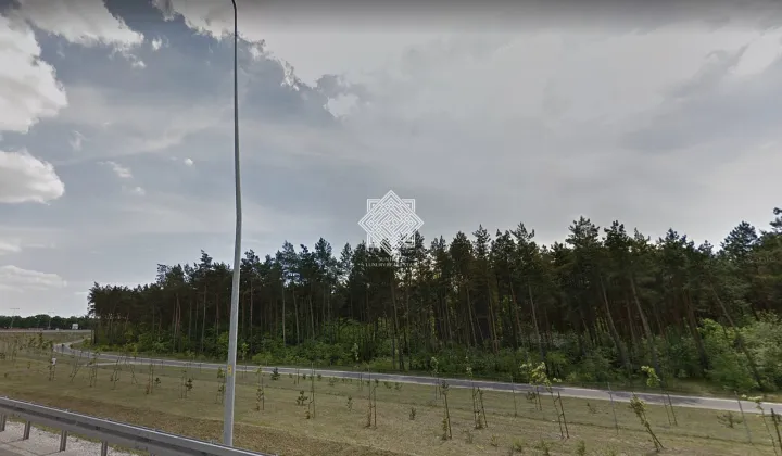 Działka leśna Kuczek