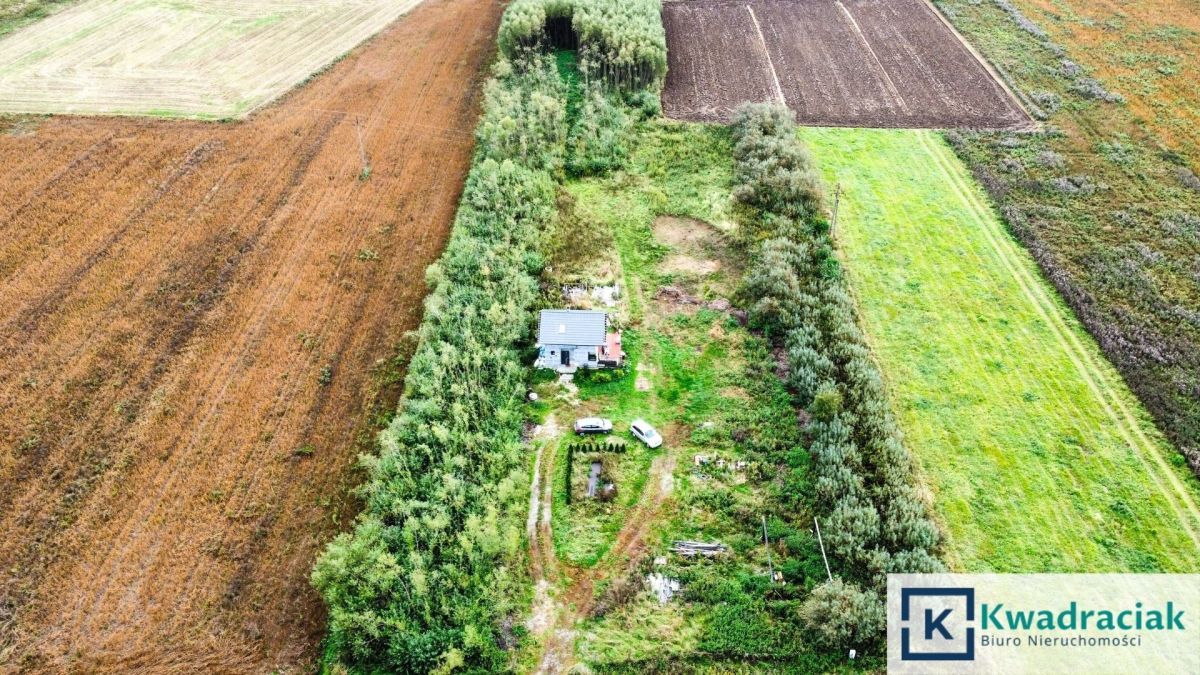 siedlisko, 5 pokoi Moderówka. Zdjęcie 3