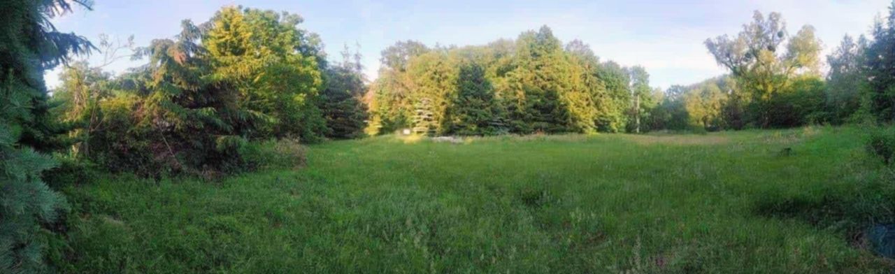 Działka budowlana Borowo-Młyn, ul. Starych Wierzb. Zdjęcie 3