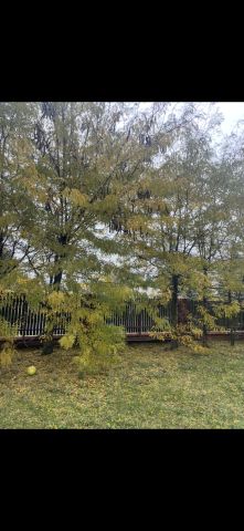 Działka budowlana Piastów, ul. Józefa Ignacego Kraszewskiego. Zdjęcie 5