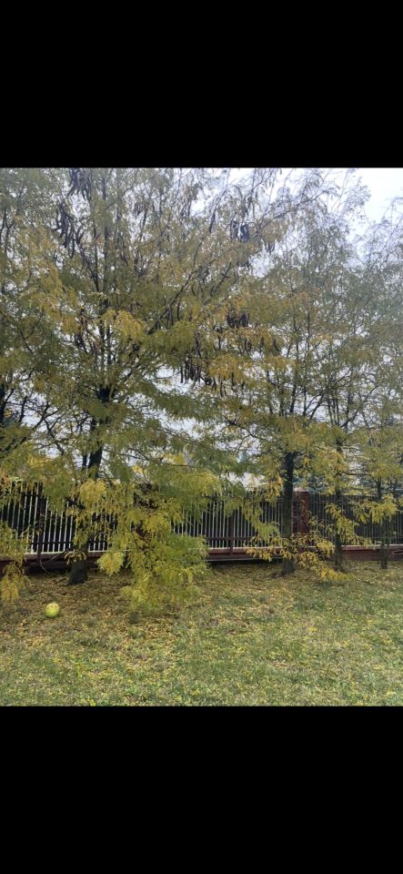 Działka budowlana Piastów, ul. Józefa Ignacego Kraszewskiego. Zdjęcie 5