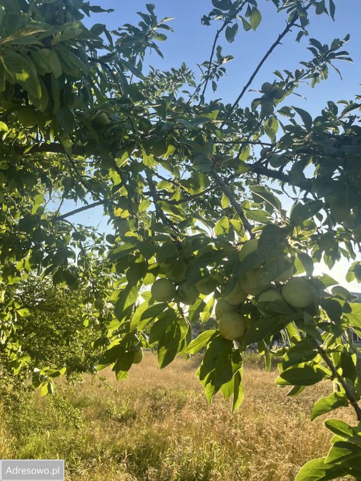 Działka budowlana Werynia. Zdjęcie 3