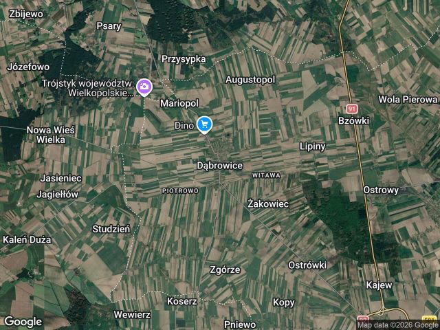 Działka rolna Dąbrowice. Zdjęcie 1