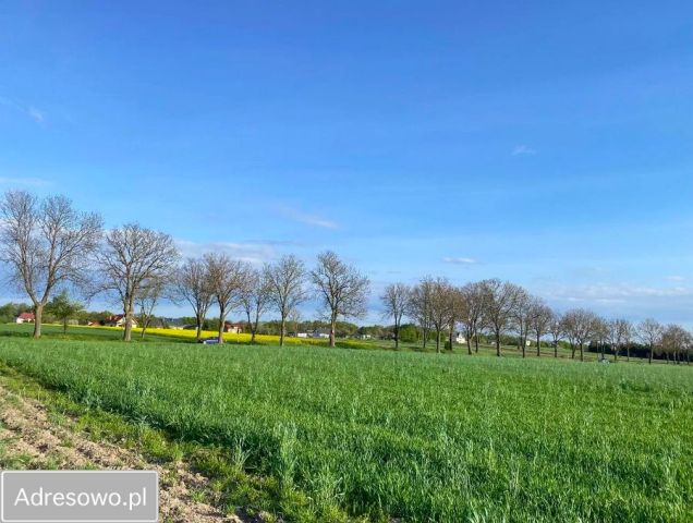 Działka budowlana Lipa. Zdjęcie 1
