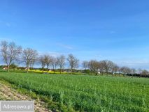 Działka budowlana Lipa